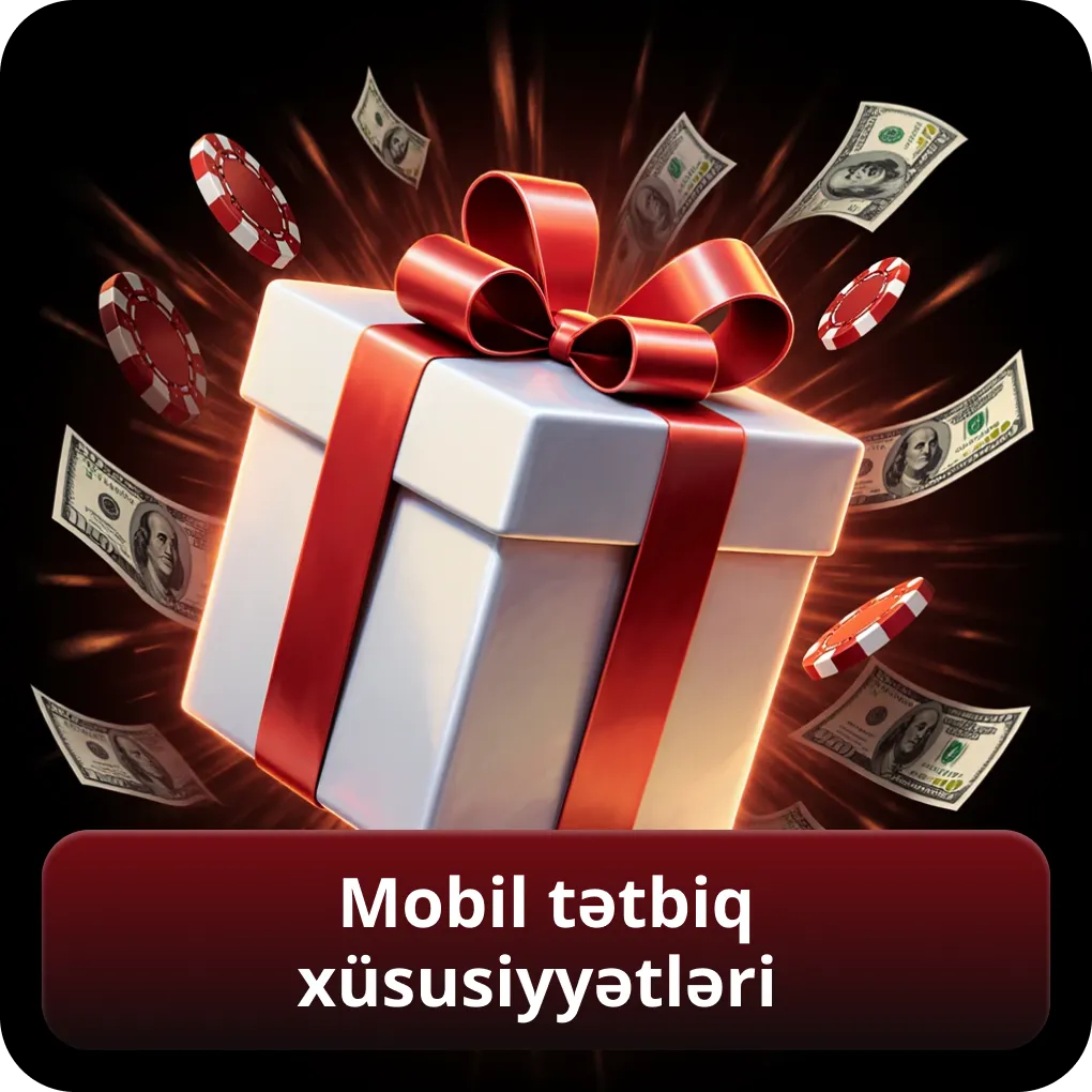 Mobil tətbiq xüsusiyyətləri